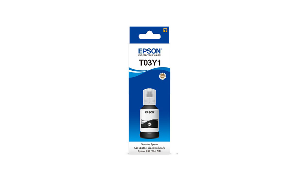 T03Y100_1.jpg
